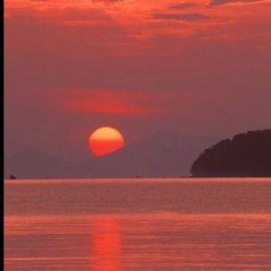 Meet your Posher, Sadie